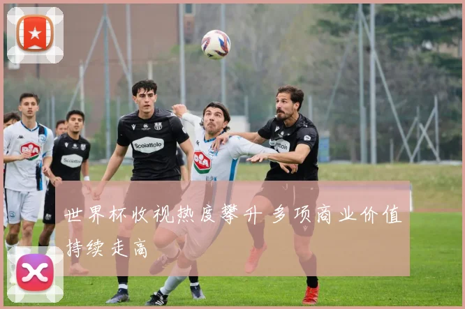 世界杯收视热度攀升 多项商业价值持续走高