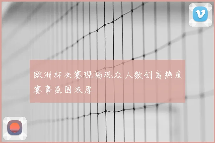 欧洲杯决赛现场观众人数创高热度赛事氛围浓厚